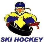Ski Hockey